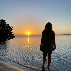 Meet your Posher, Lourie